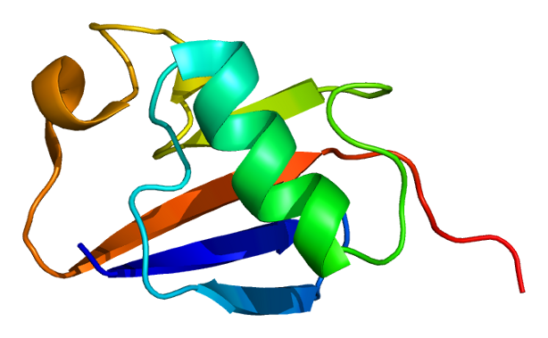 Protein PARK2 PDB