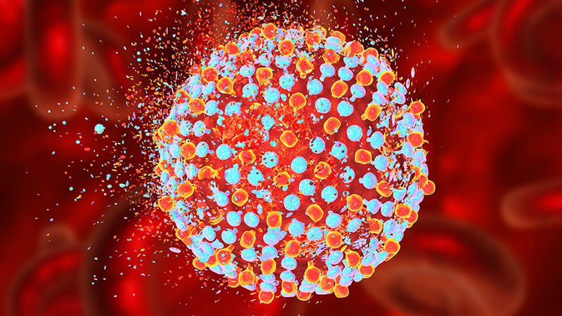 Pan-genotypic treatment for adults suffering from chronic hepatitis C