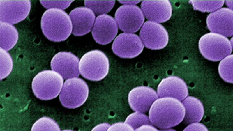 Approved antibiotic for treatment of acute bacterial skin and skin structure infections